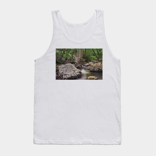 Little Stony Creek Jefferson Nf Tank Top by RhysDawson